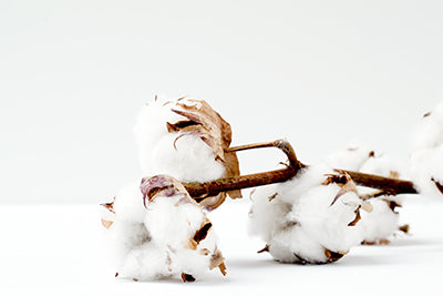 ¿Qué es el algodón orgánico? 7 razones para pasarte al algodón orgánico
